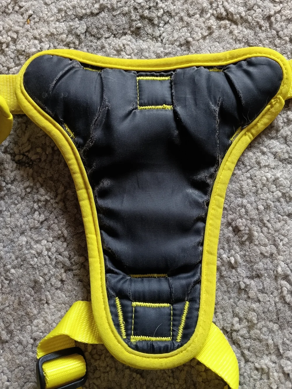 💛 Canada Pooch Everything Dog Harness Rainbow Multicolor Large Striped Pet Vest